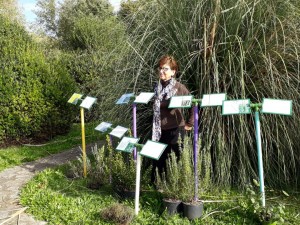 percorso botanico al festival del   Sarcidano