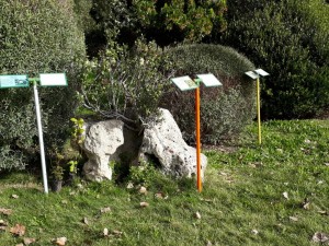 percorso botanico sarcidano