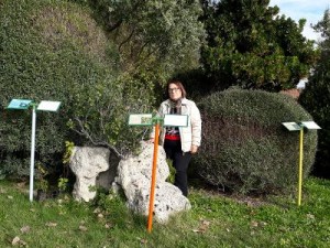 Parco Asusa 2018